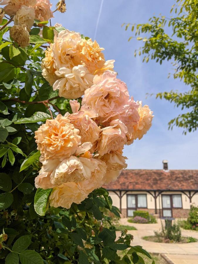 Kingfisher Barn B&B Abingdon-on-Thames Bagian luar foto