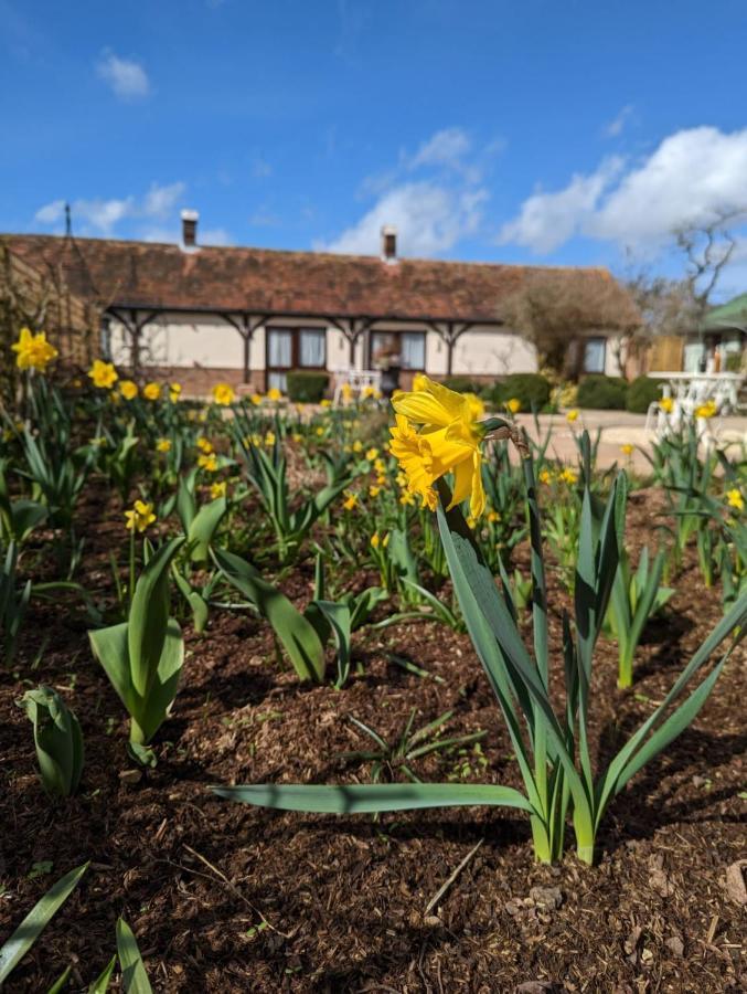 Kingfisher Barn B&B Abingdon-on-Thames Bagian luar foto