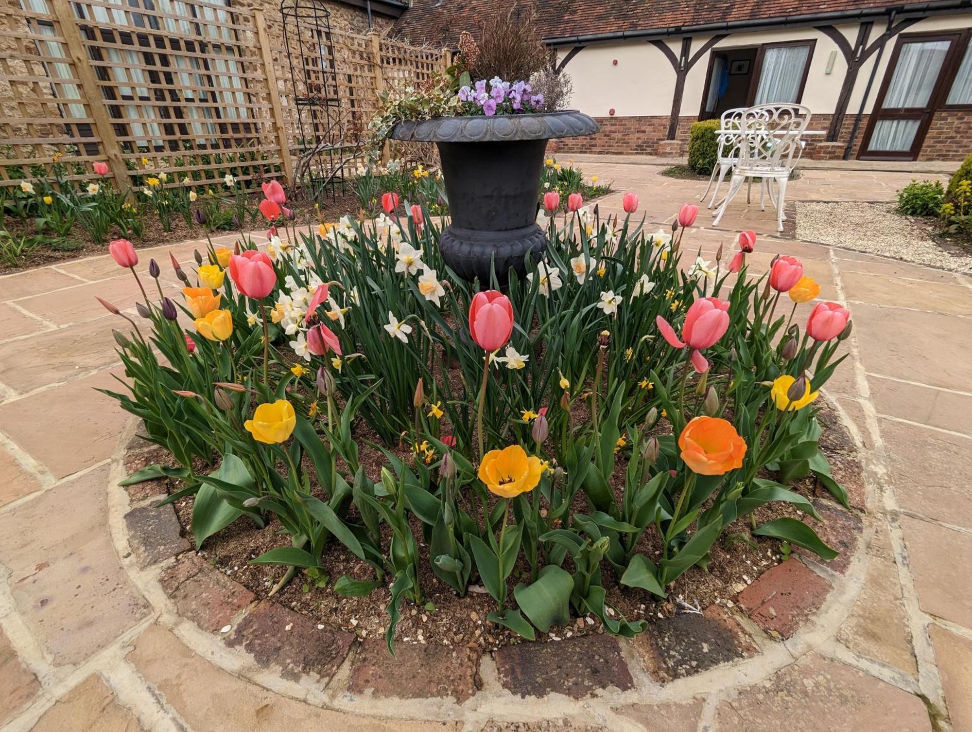 Kingfisher Barn B&B Abingdon-on-Thames Bagian luar foto